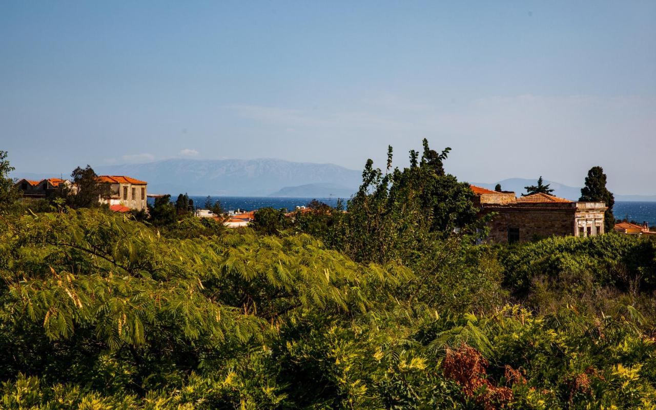 Mansion Argyrakiko - 3 Bedroom House In Kampos *